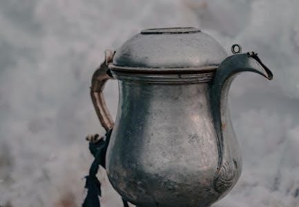 cold brew coffee maker instructions