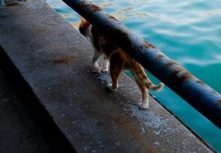 paw patrol casting station instructions pdf