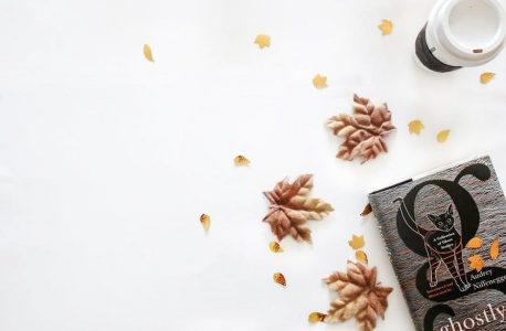 david copperfield novel pdf