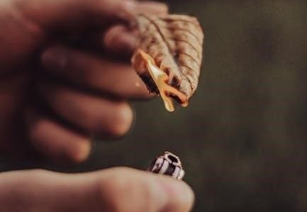 p365 x macro manual safety kit