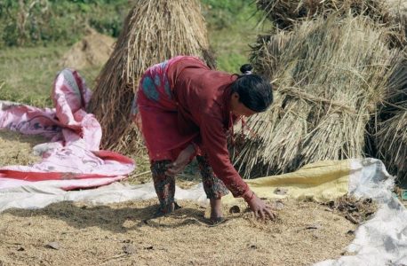cuckoo rice cooker manual