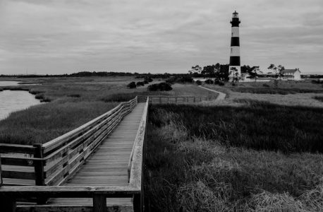 primal path field guide pdf