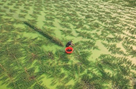 a.o. smith hybrid water heater manual