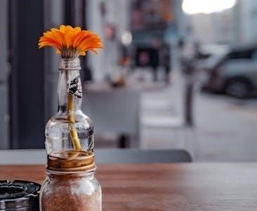 daisy money explorer badge requirements pdf