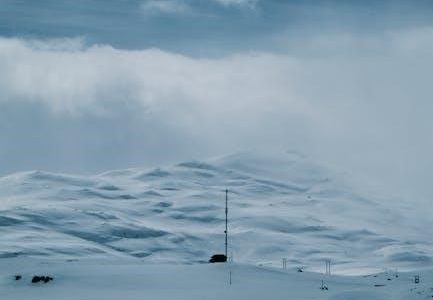 hills like white elephants pdf