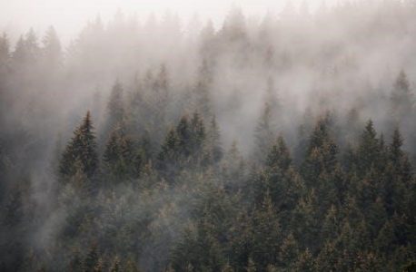 volo’s guide to monsters free pdf