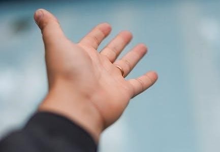 pool maintenance guide pdf