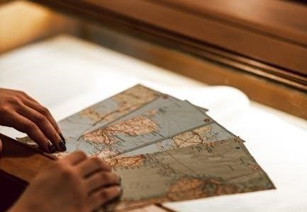 study guide photosynthesis