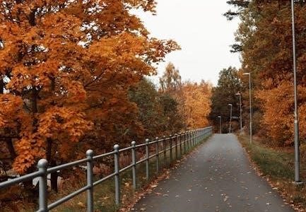 cabi fall 2024 lookbook pdf