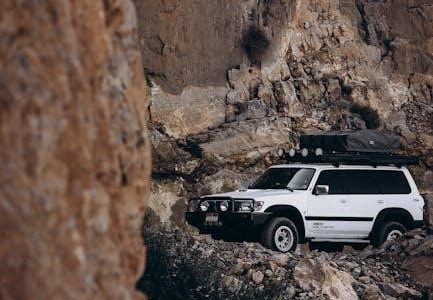 2004 ford expedition manual