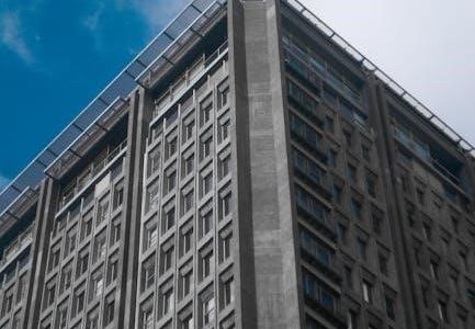 everything that rises must converge pdf