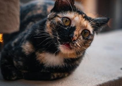 geotechnical engineering principles and practices 2nd edition pdf free download