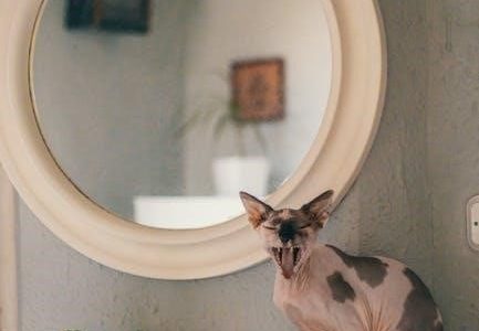 pete the cat books free pdf