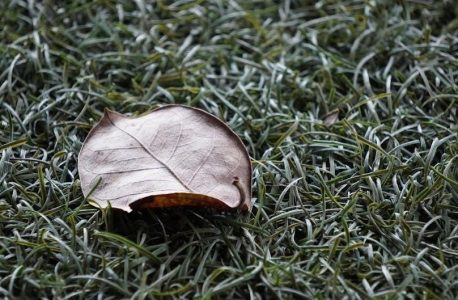 libro hábitos atómicos pdf gratis completo