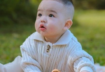 mosie baby instructions