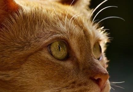 box and whisker worksheet pdf