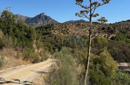 rental agreement in spanish pdf