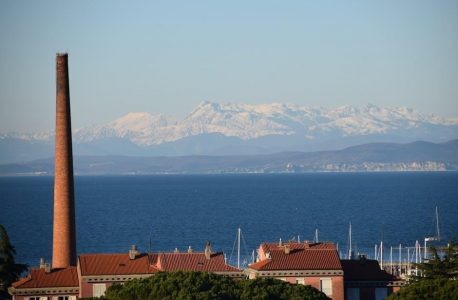 when mckinsey comes to town pdf