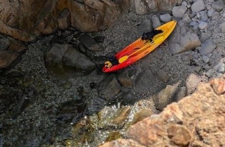 secrets of a sun king pdf