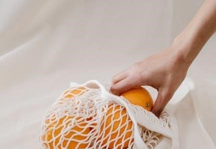 four disciplines of execution pdf