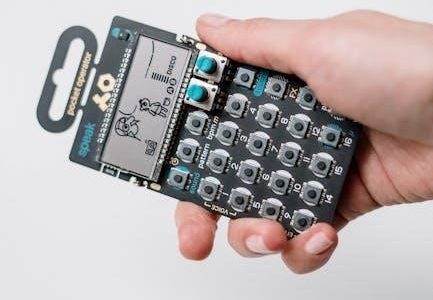 fluke 289 user manual