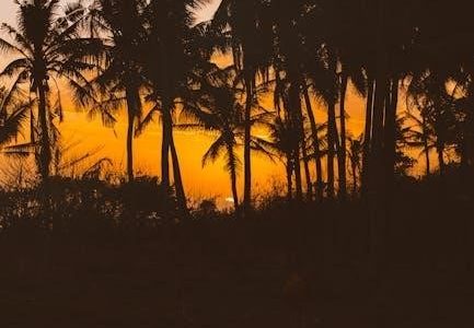 beosound remote mark 4 manual pdf