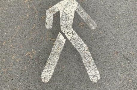 trail guide to the body 5th ed