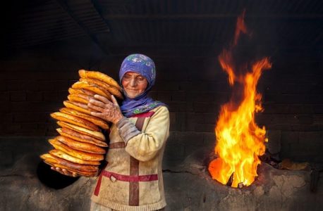 frigidaire oven user manual