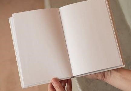 read write inc flash cards pdf