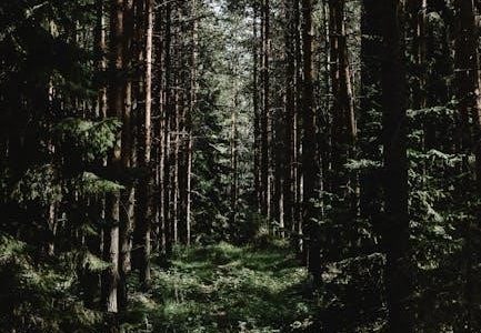 easy walk harness size guide