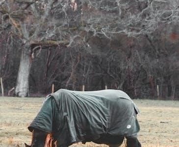 horse blanket guide