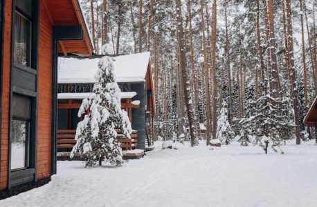 year 2 english worksheets pdf