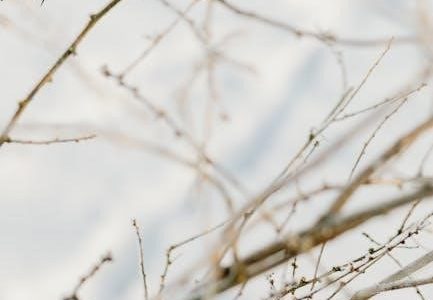 canon 5d mark iii instruction manual