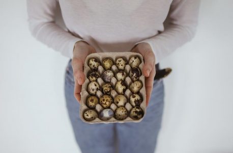 pocket hole screw size guide