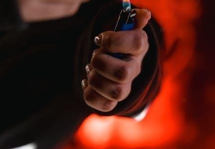 what is manual call point