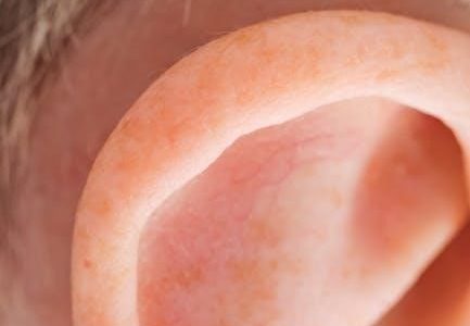 costanzo physiology pdf