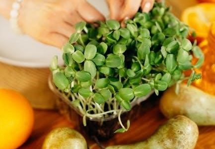 getting to know you pdf