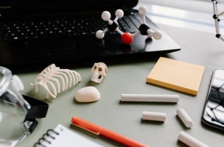 med surg nursing study guide