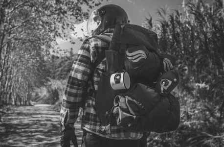 the odyssey pdf robert fitzgerald