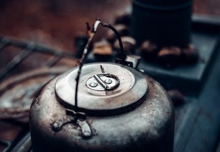 fire sense outdoor heater manual