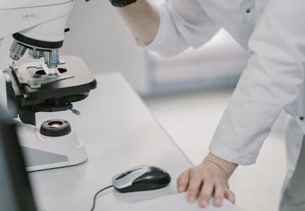 investigation report format pdf