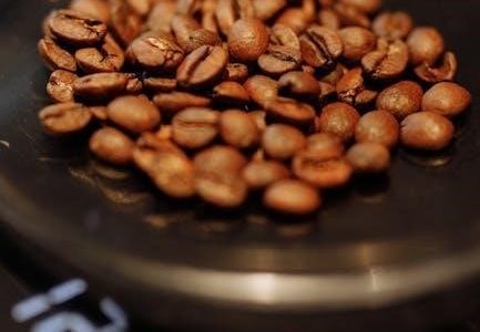 weight gurus scale user manual