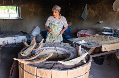 de’longhi oven instruction manual