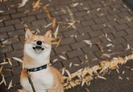 free service dog certificate pdf