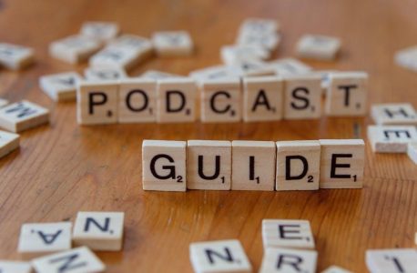 petsafe remote trainer instruction manual